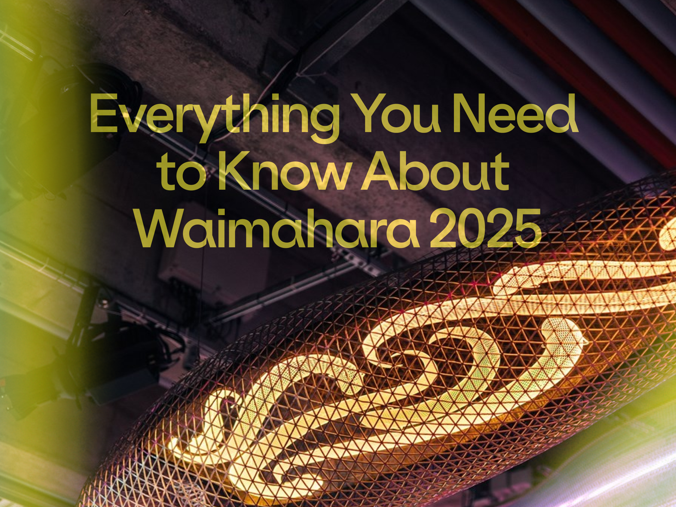 Everything You Need to Know About Waimahara 2025