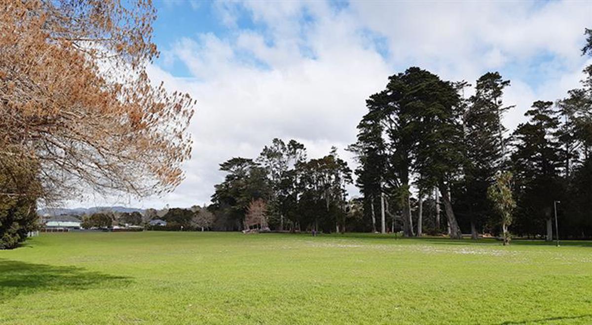 Henderson Park Sports Fields